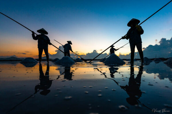 Harvesting Salt in Vietnam