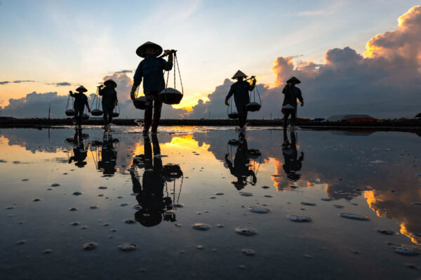 Salt Fields Vietnam