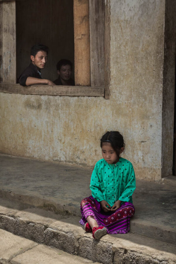 Cultural Portraits of Vietnam