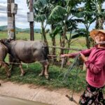 Cattle Farmer- Stefan Malin