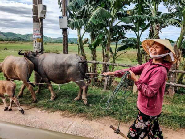 Cattle Farmer- Stefan Malin